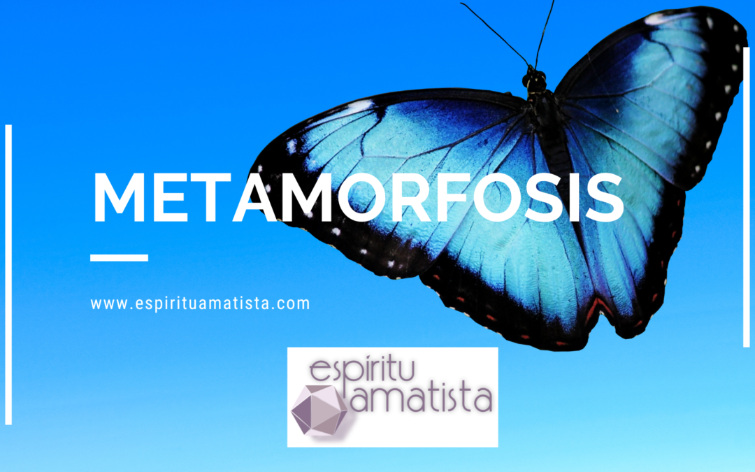 Metamorfosis